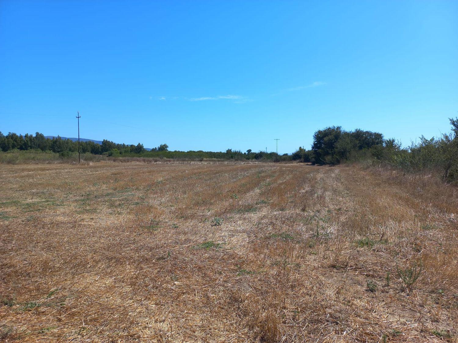 Terreno Agricolo in vendita a Villamassargia