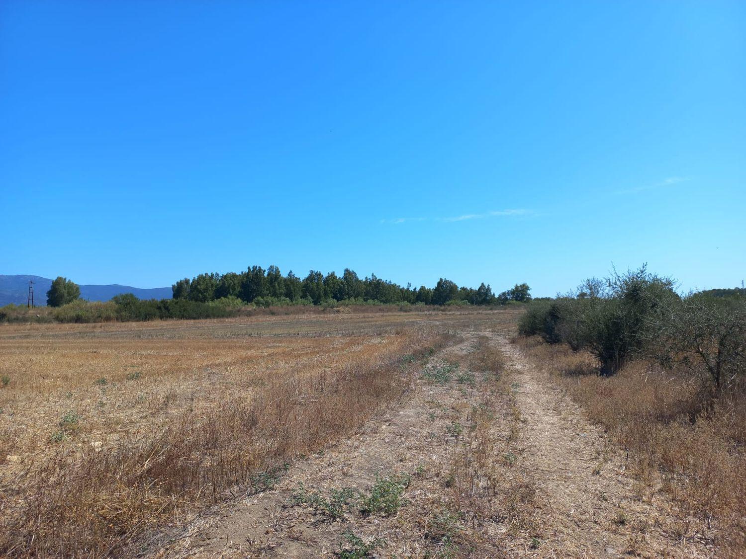Terreno Agricolo in vendita a Villamassargia