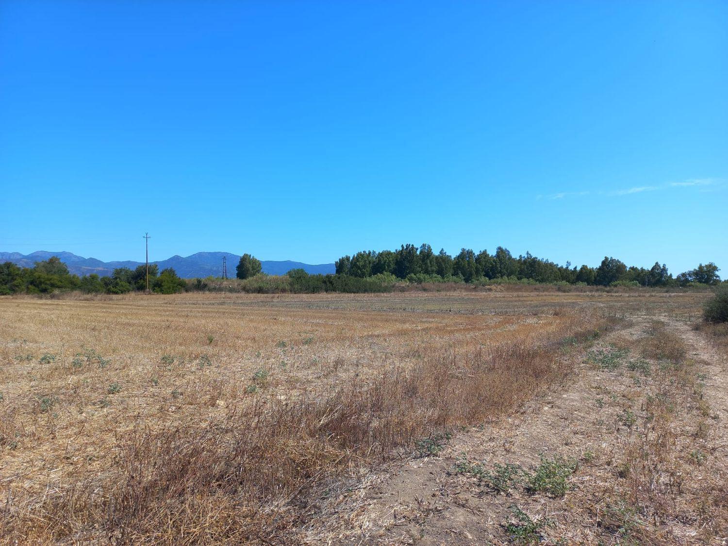 Terreno Agricolo in vendita a Villamassargia