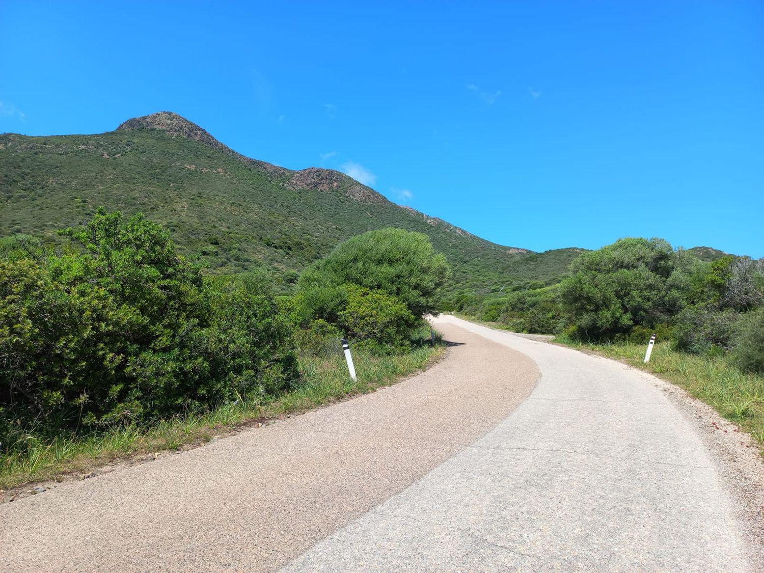 Terreno Agricolo in vendita a Fluminimaggiore