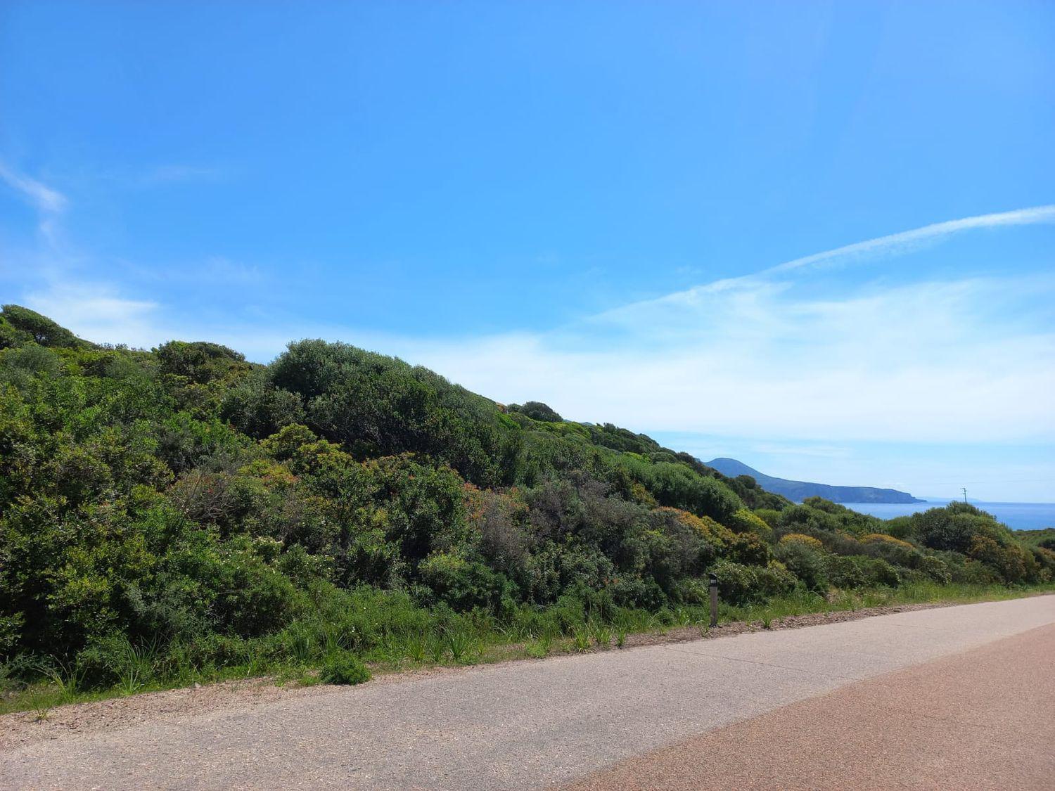 Terreno Agricolo in vendita a Fluminimaggiore