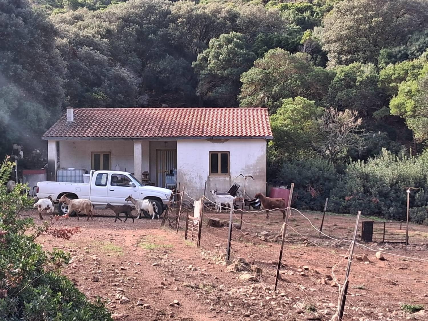 Terreno Edificabile in vendita a Iglesias
