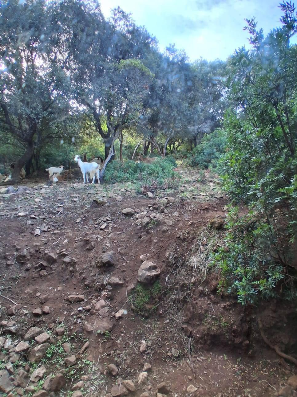 Terreno Edificabile in vendita a Iglesias