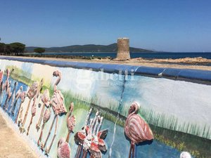 Villa con giardino a Siniscola