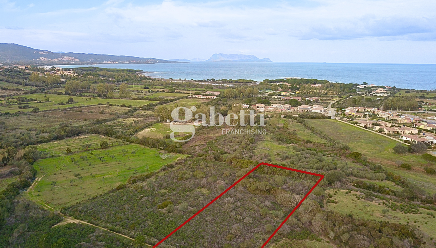 Terreno Agricolo in vendita a Budoni