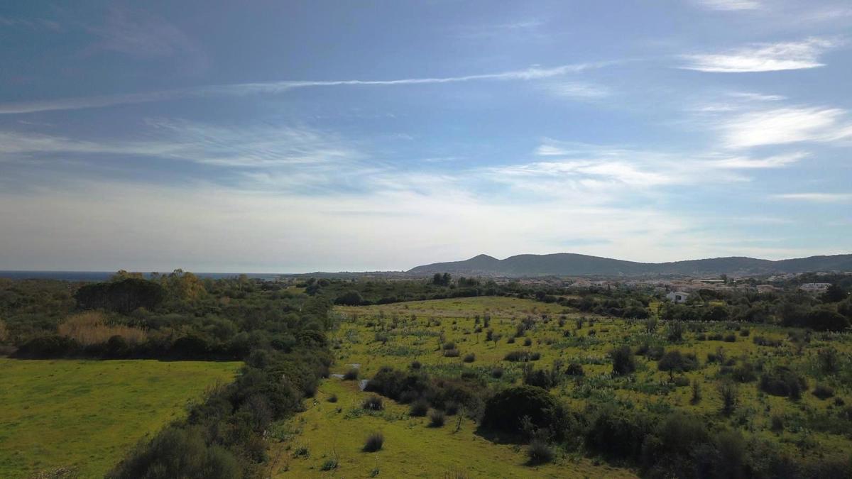 Terreno Agricolo in vendita a Budoni