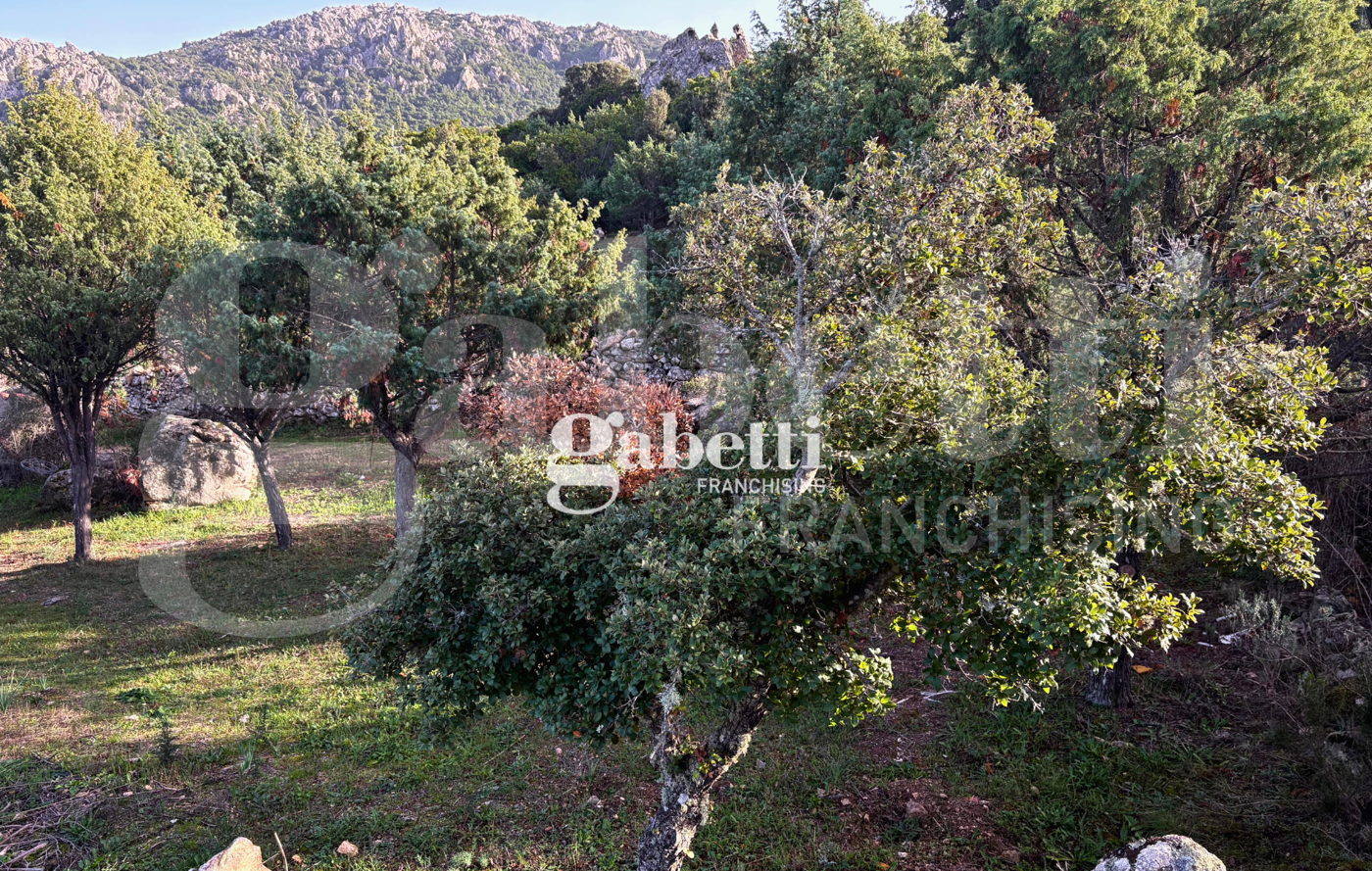 Magazzino in vendita a Padru