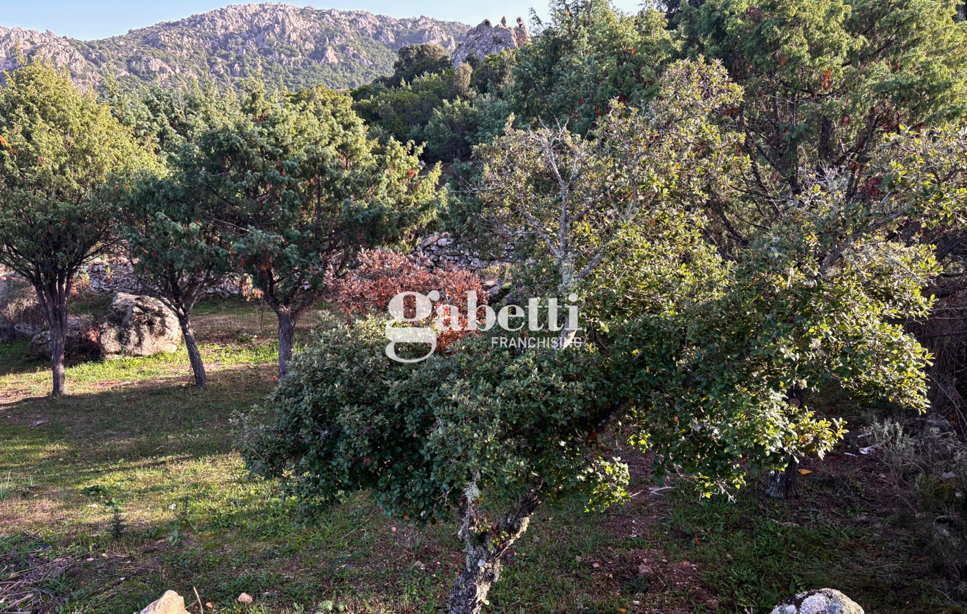 Magazzino in vendita a Padru