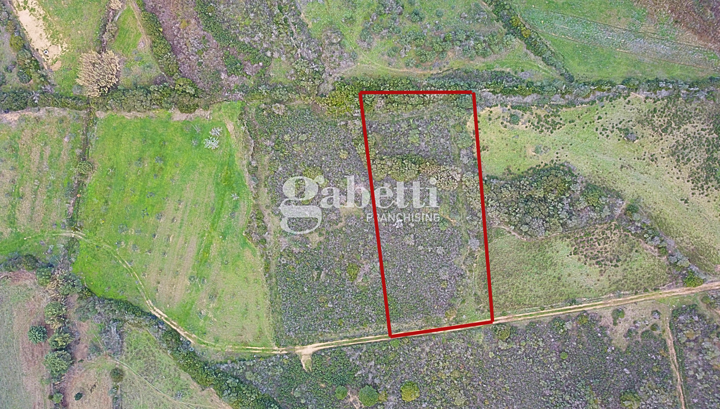 Terreno Agricolo in vendita a Budoni