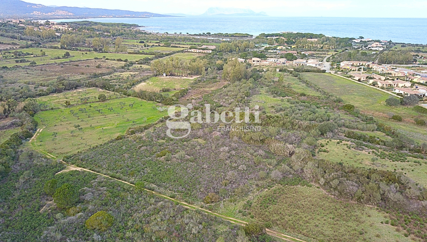 Terreno Agricolo in vendita a Budoni