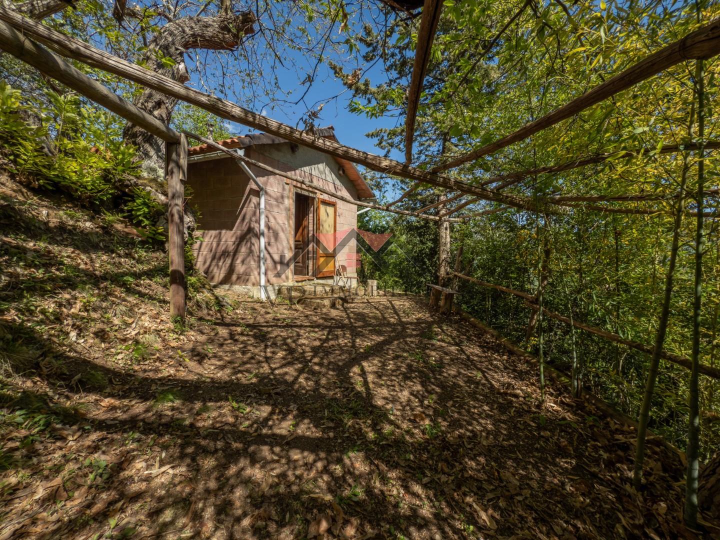 Box/Garage 21mq in vendita a Castelnuovo di Val di Cecina