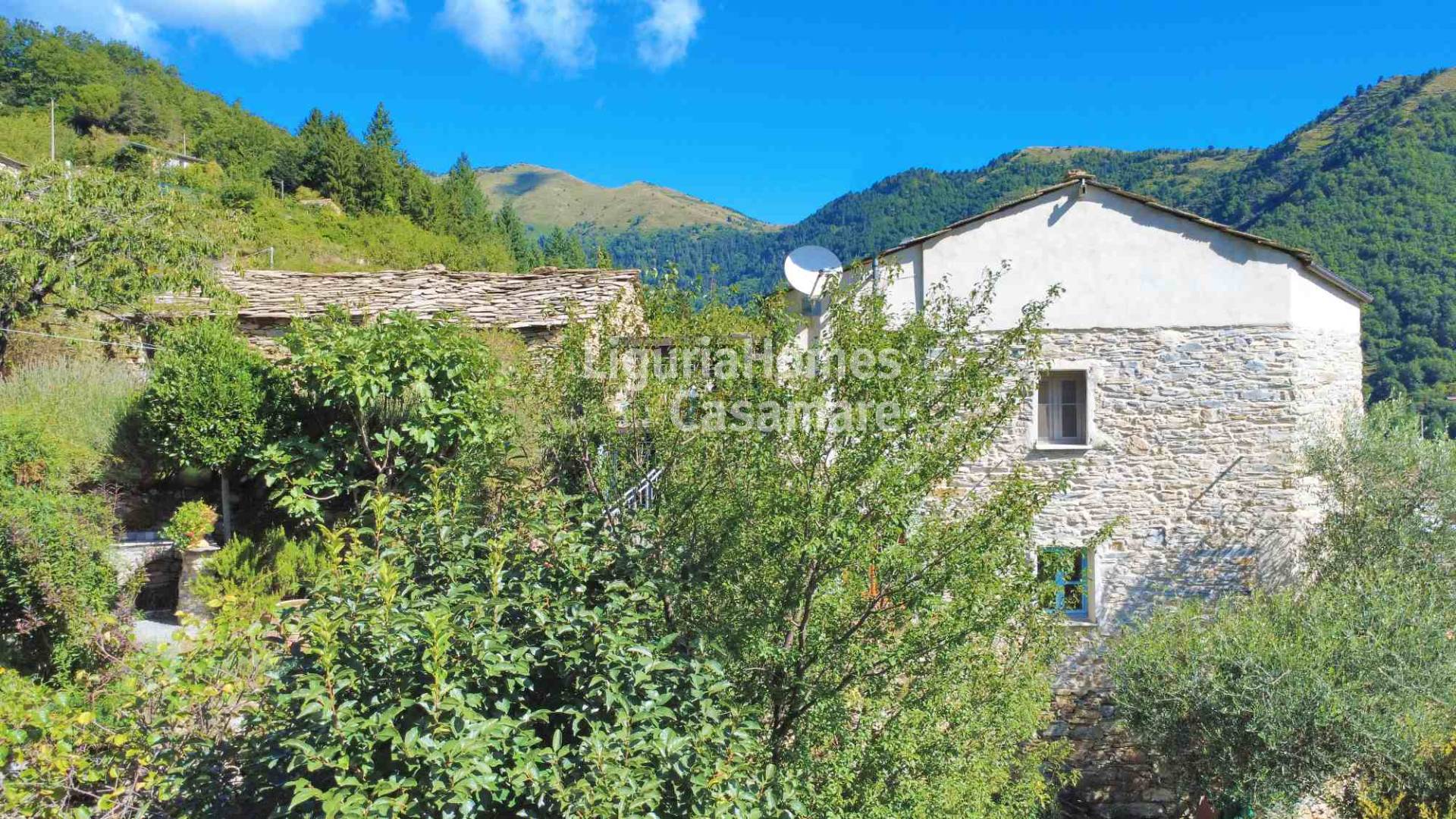 Casa di paese in vendita a Montalto Carpasio