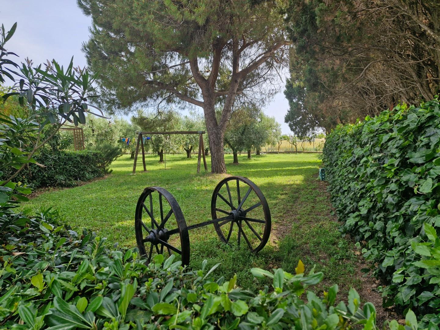 Rustico con giardino, Piombino base geodetica