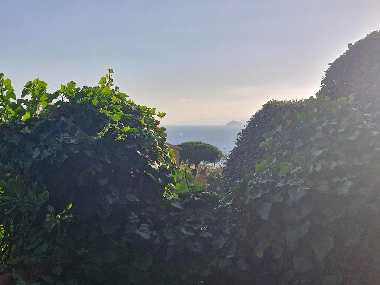 Appartamento in vendita, Piombino salivoli