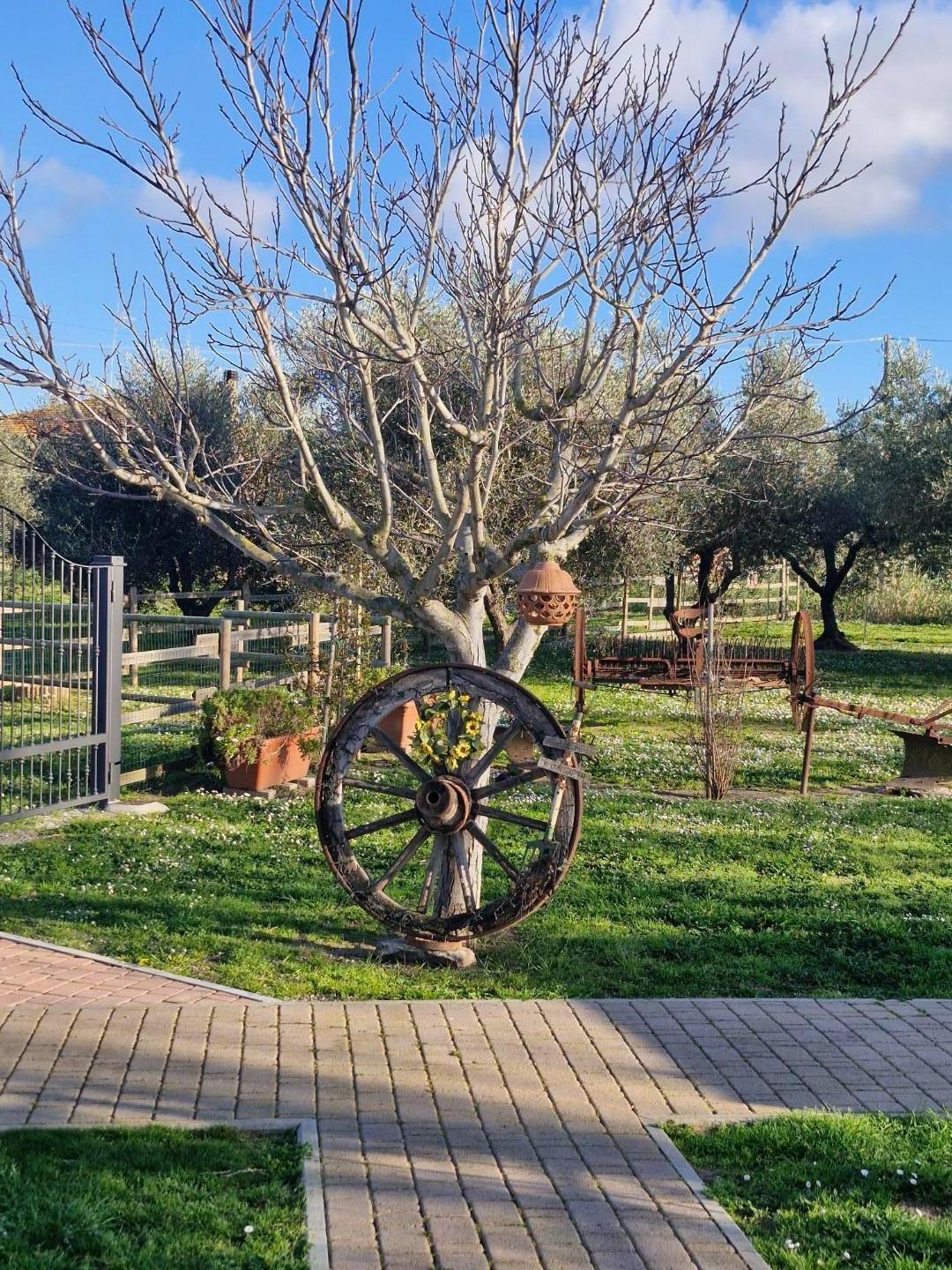 Villa Bifamiliare con giardino, Campiglia Marittima venturina terme