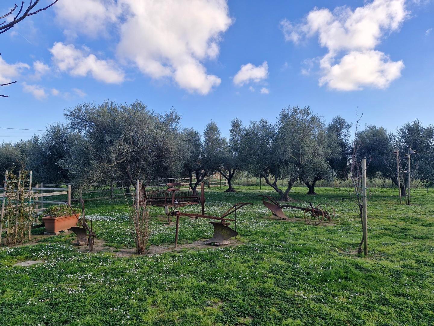 Villa Bifamiliare con giardino, Campiglia Marittima venturina terme