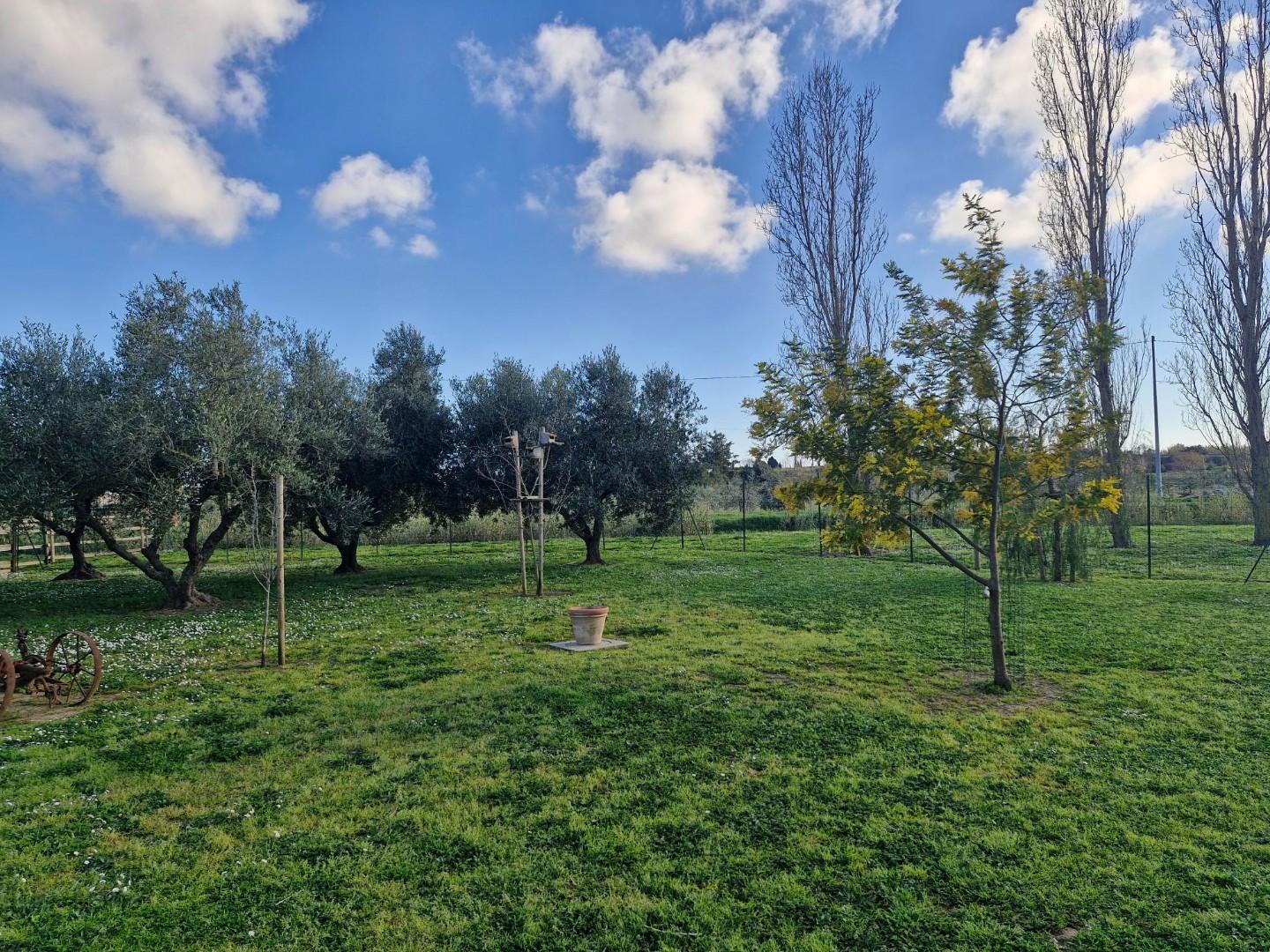 Villa Bifamiliare con giardino, Campiglia Marittima venturina terme
