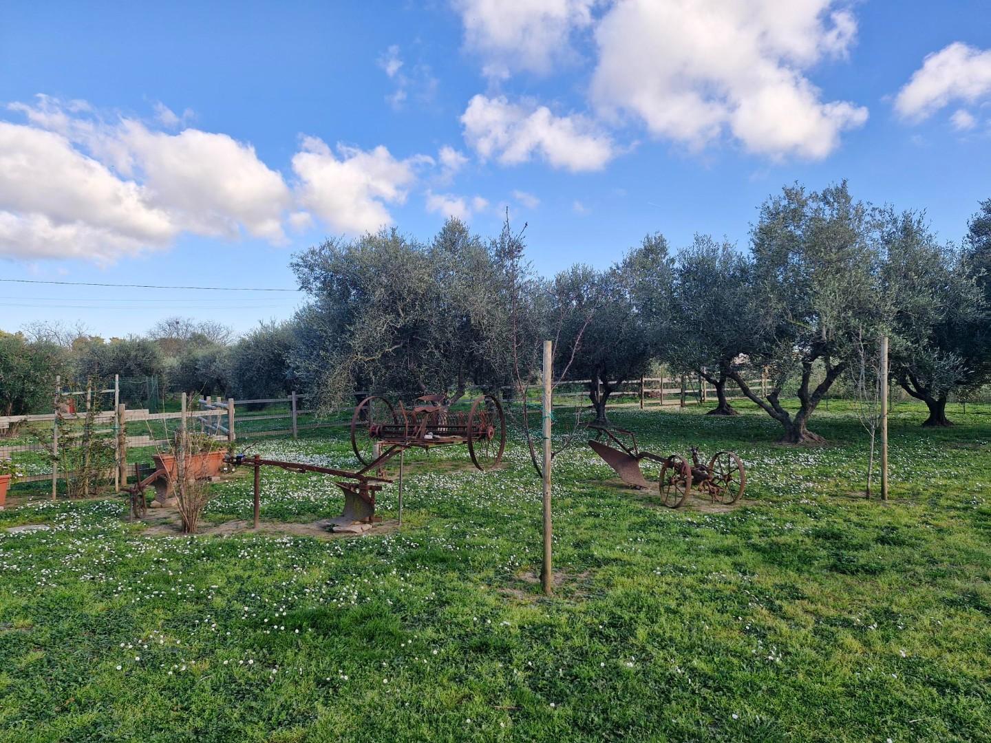 Villa Bifamiliare con giardino, Campiglia Marittima venturina terme