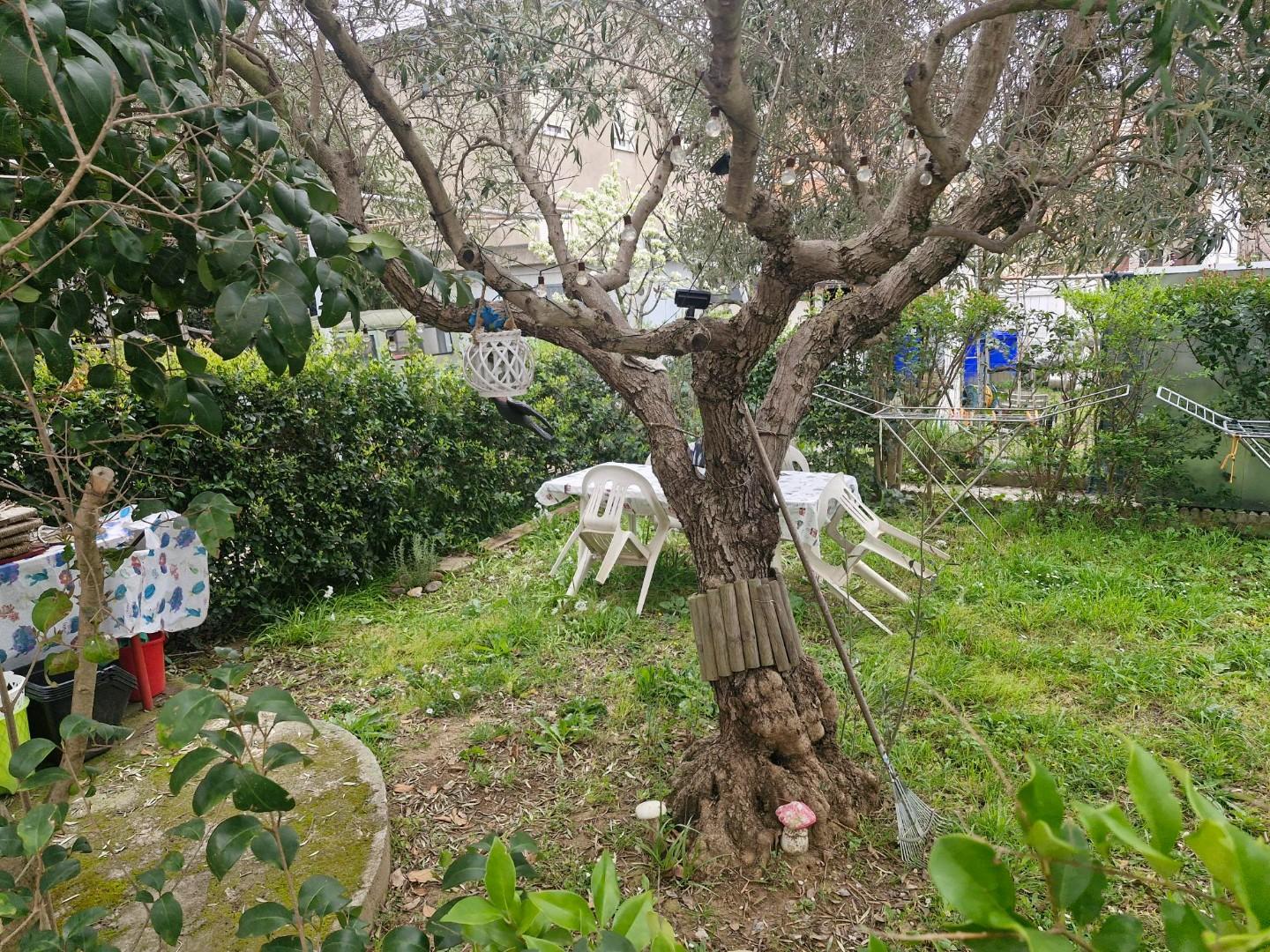 Appartamento in vendita, Campiglia Marittima venturina terme