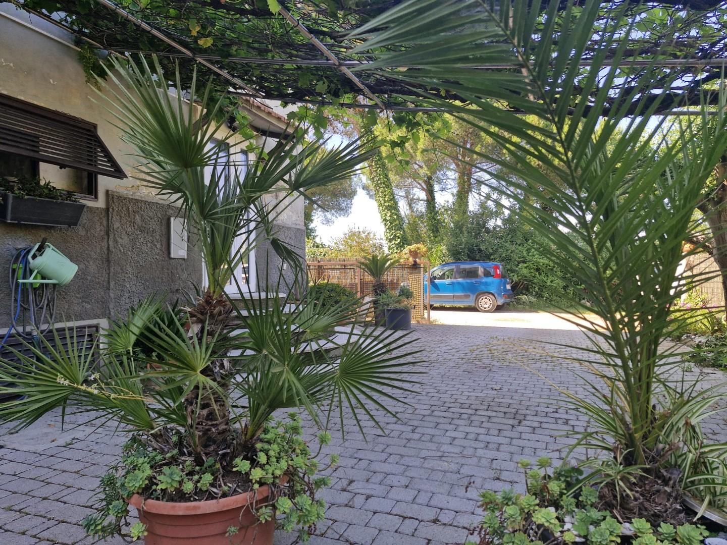 Casa indipendente in vendita, Piombino riotorto