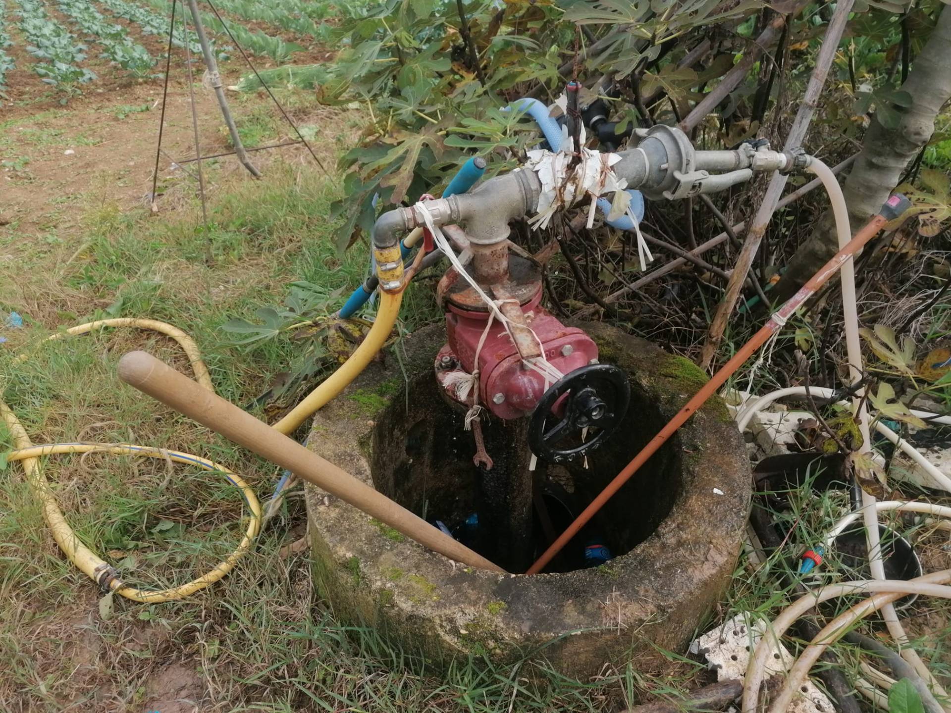 Terreno Agricolo in vendita a Giulianova, Giulianova Paese