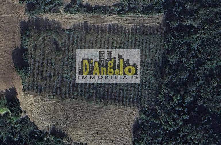 Terreno Agricolo in vendita a Offida