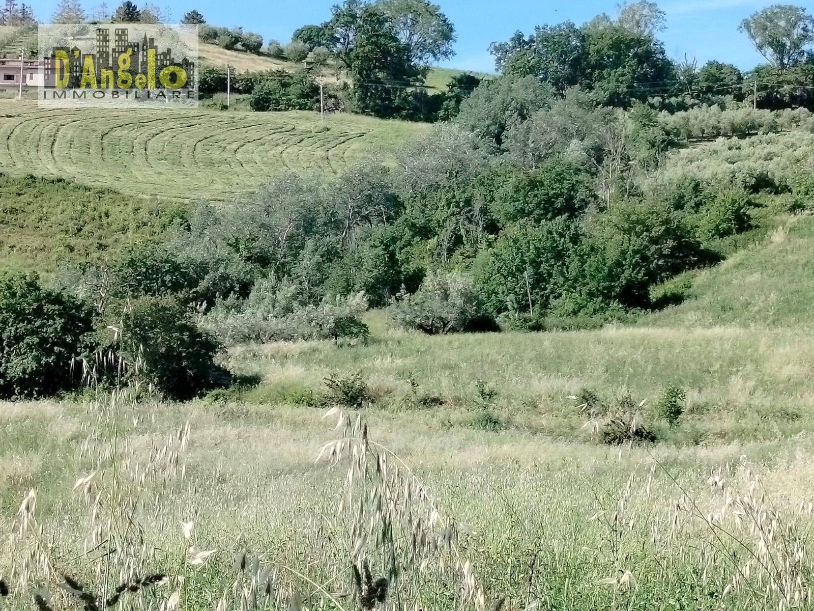 Casale Colonico in vendita a Castignano, Ripaberarda