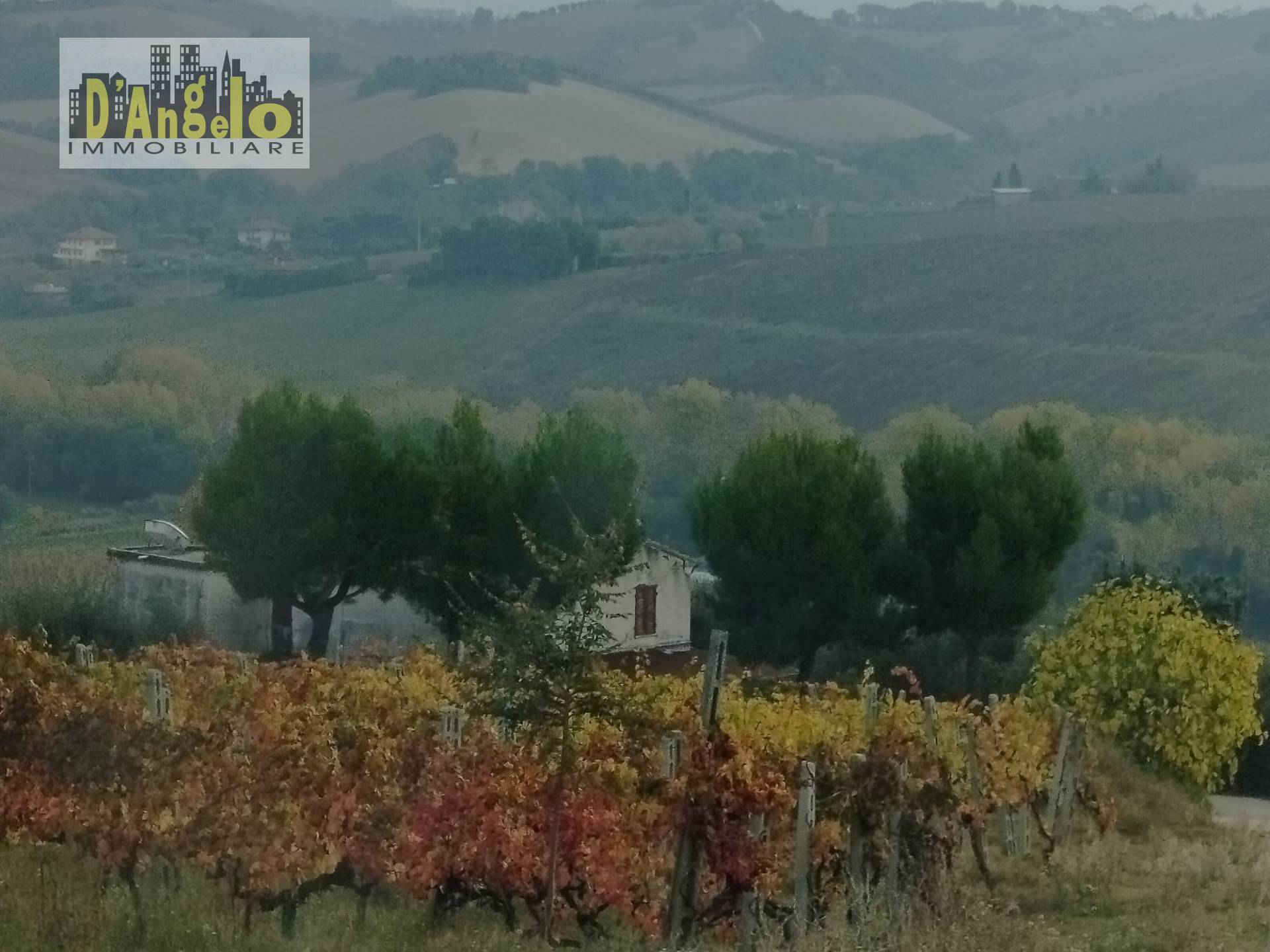 Rustico in vendita a Castignano