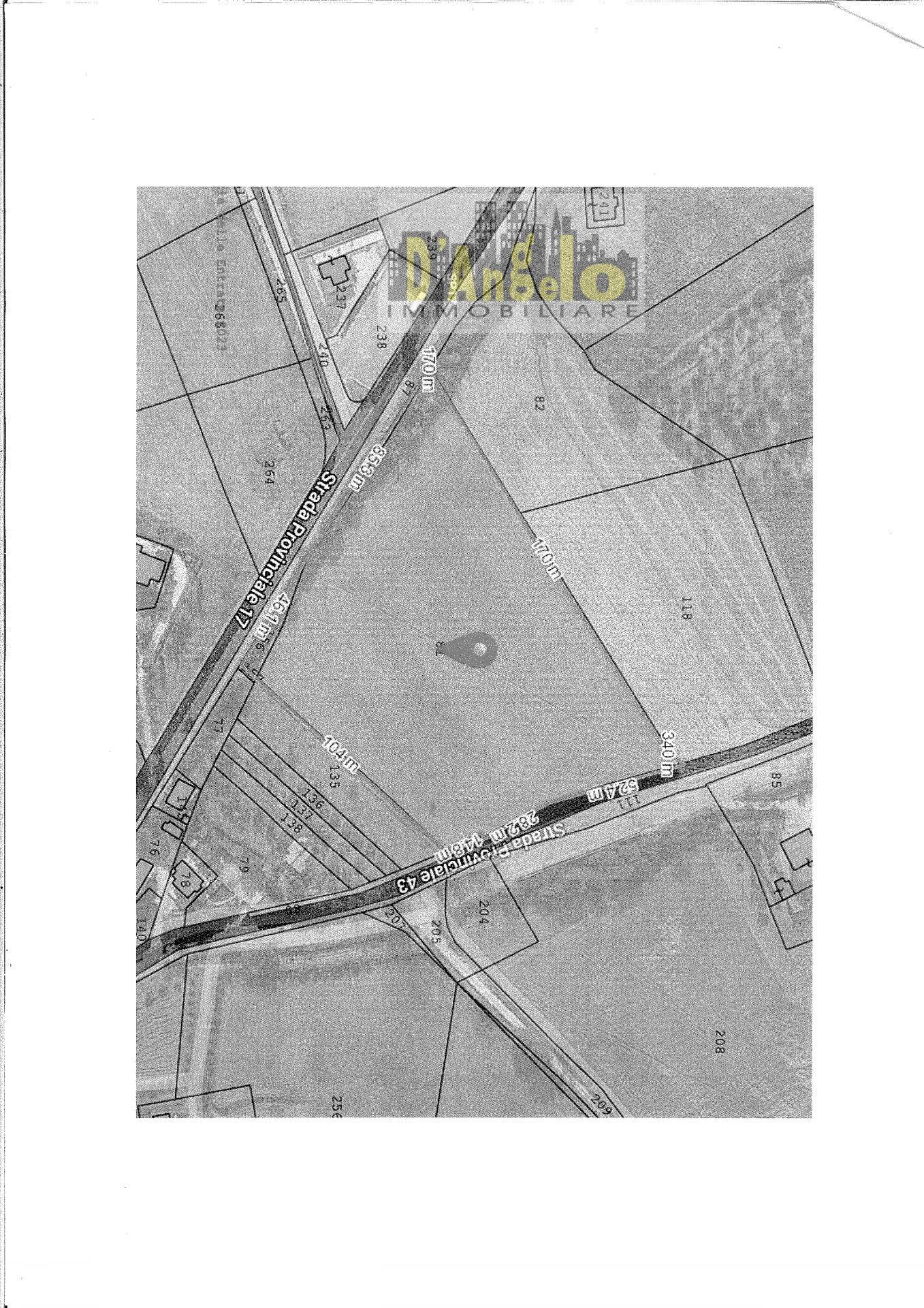 immagine annuncio 3 di 4