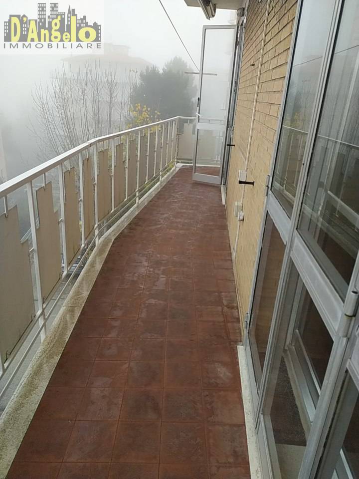 Appartamento in affitto a Ancona, Pinocchio