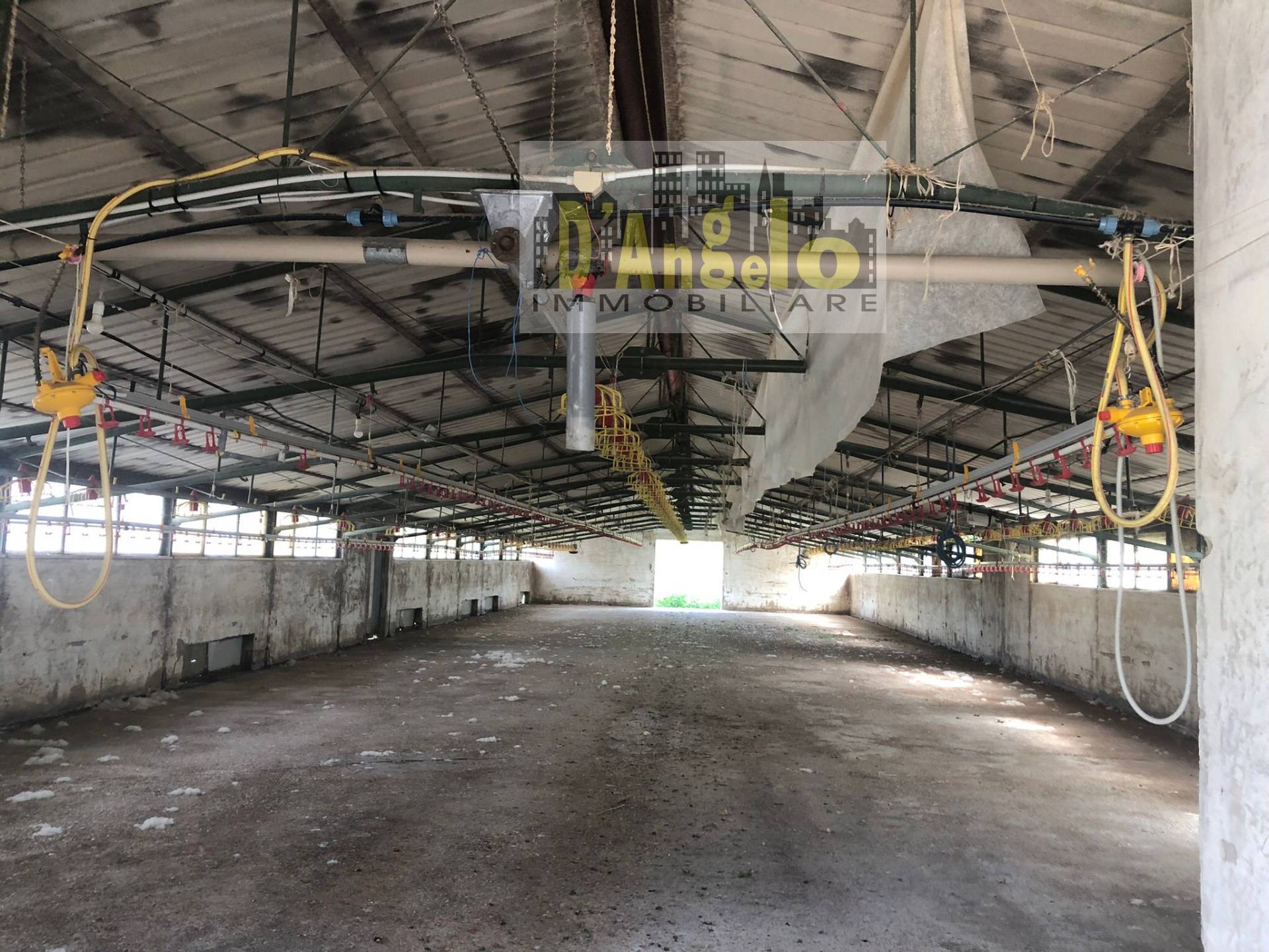 Casa singola in vendita a Offida