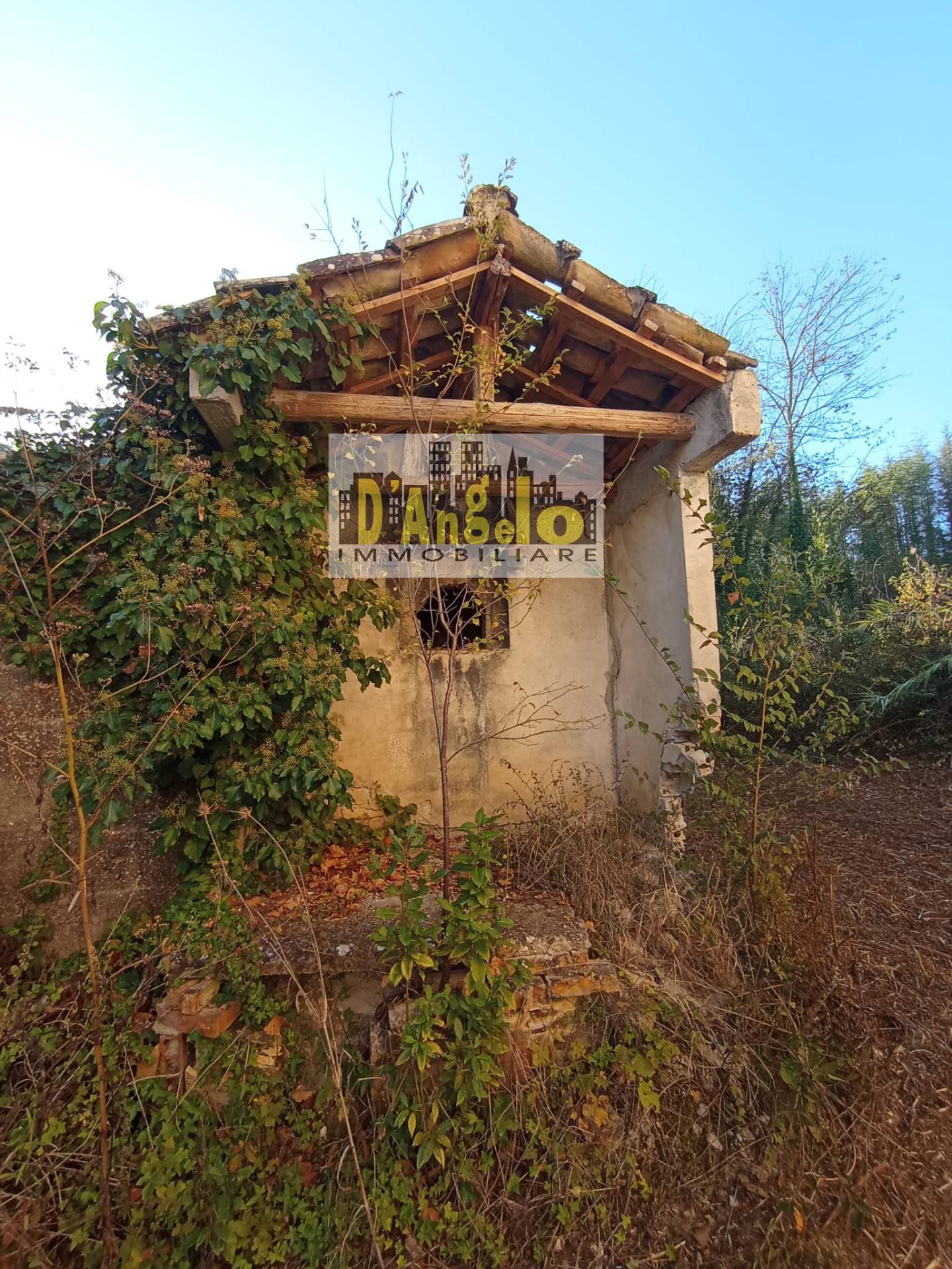 Casa singola in vendita a Castel di Lama