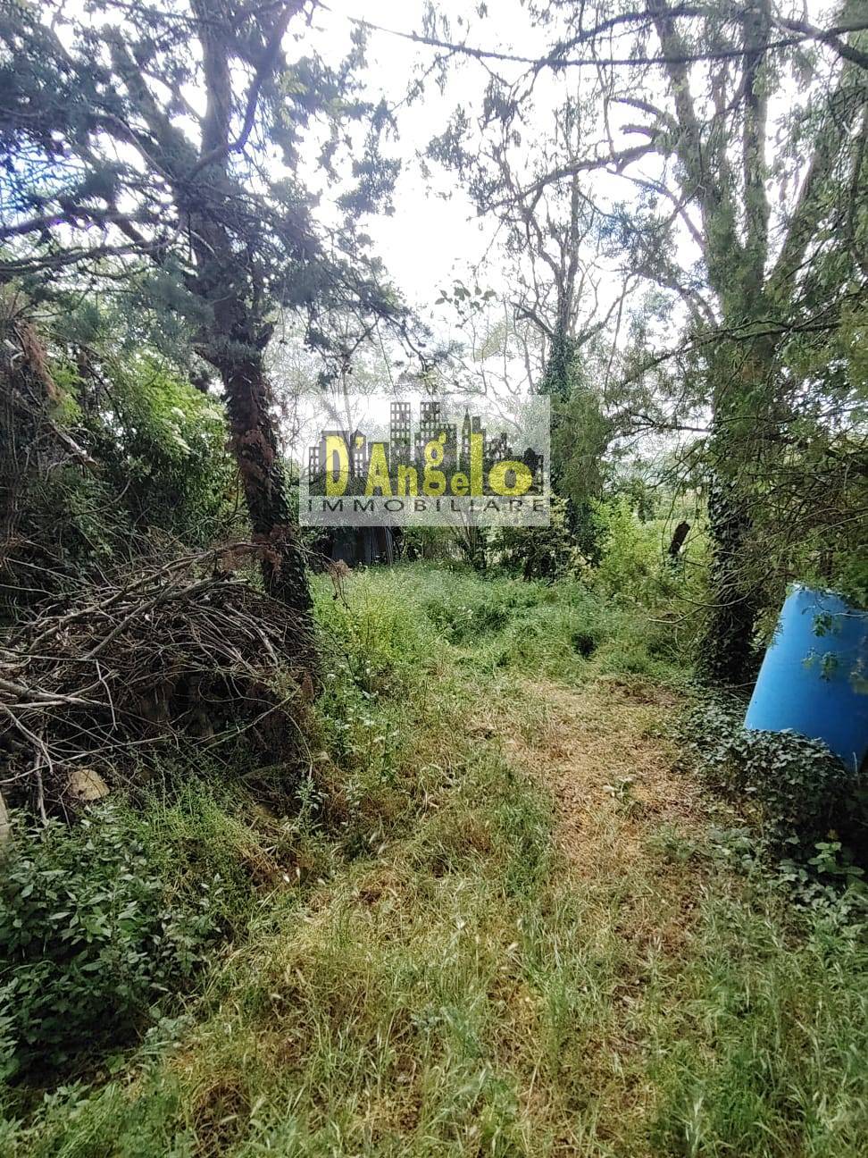 Rustico in vendita a Petritoli