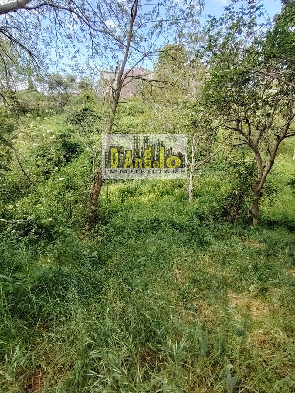 Rustico in vendita a Petritoli