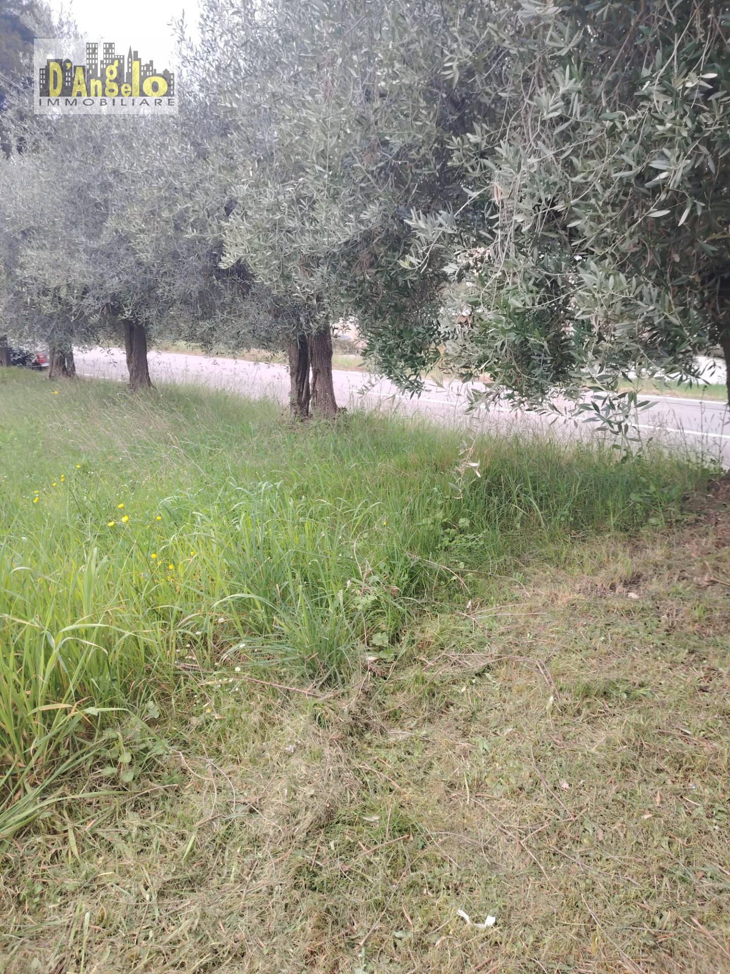 Rustico in vendita a Offida