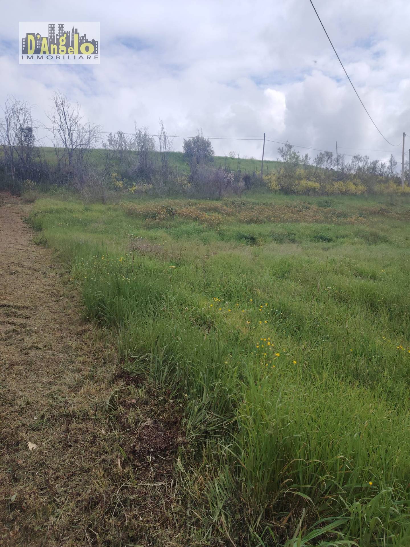 Rustico in vendita a Offida