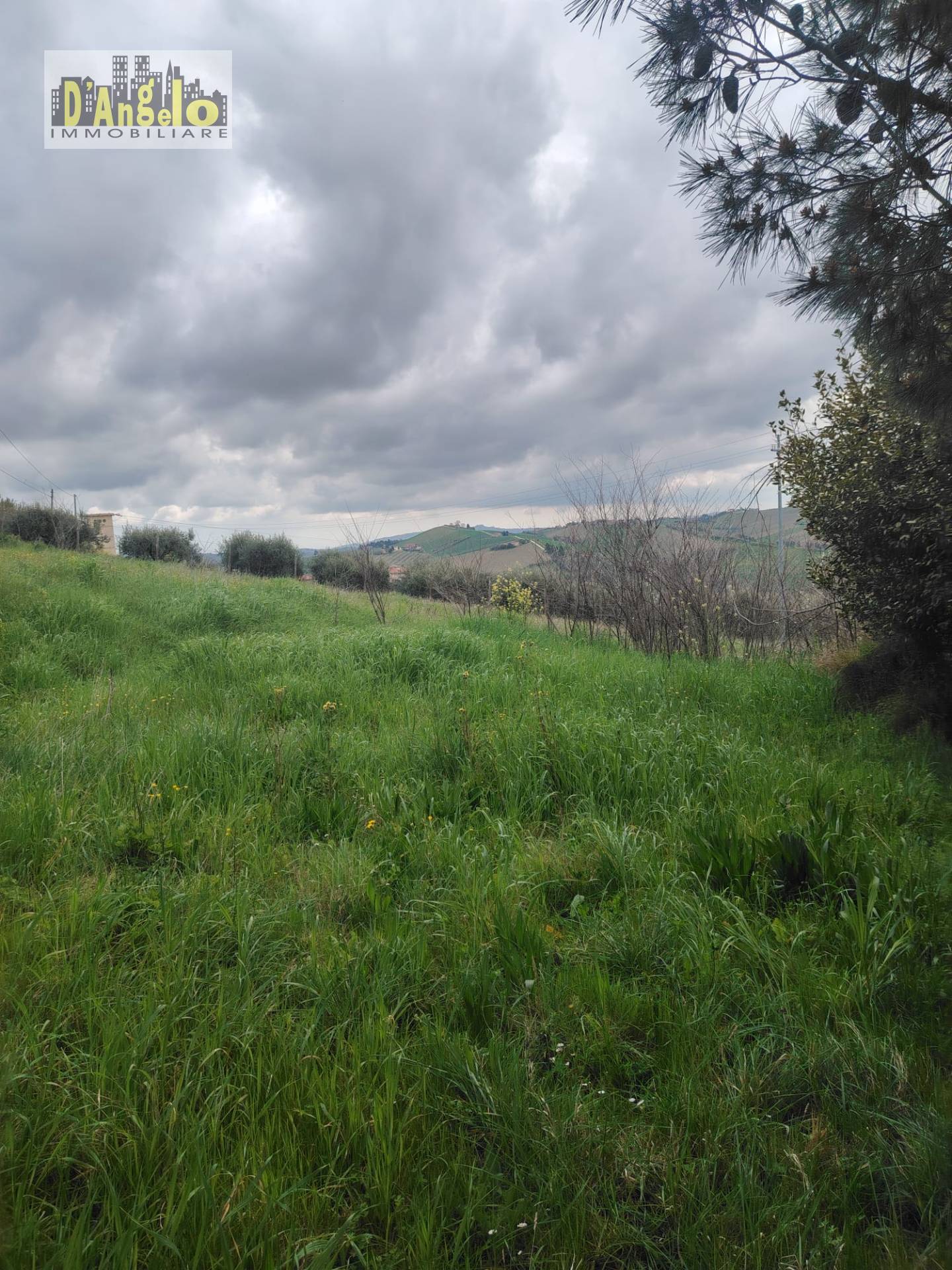 Rustico in vendita a Offida