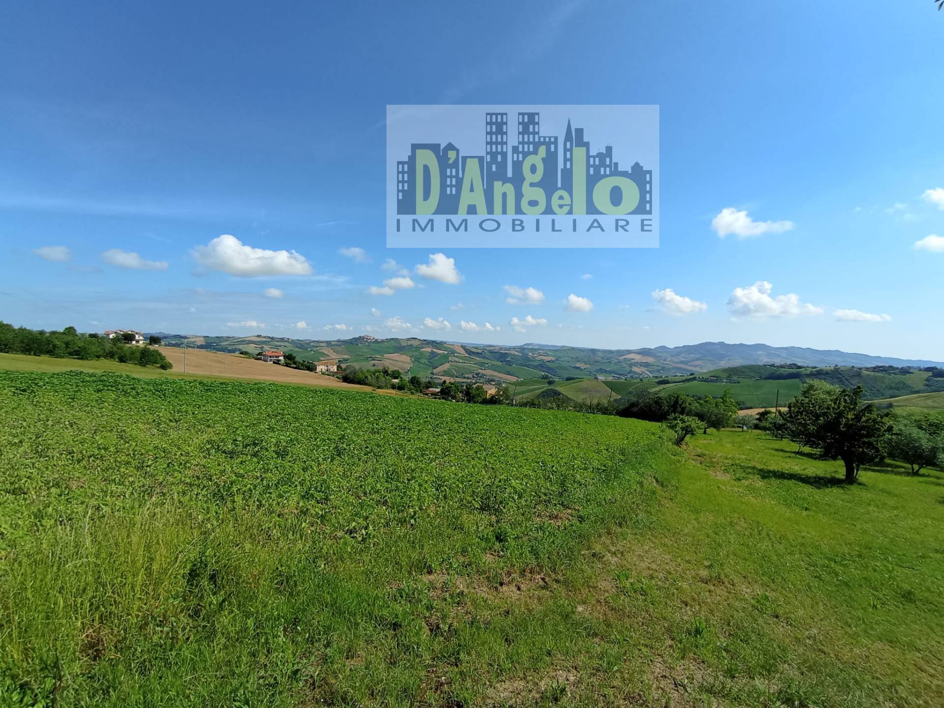 Terreno Agricolo in vendita a Offida