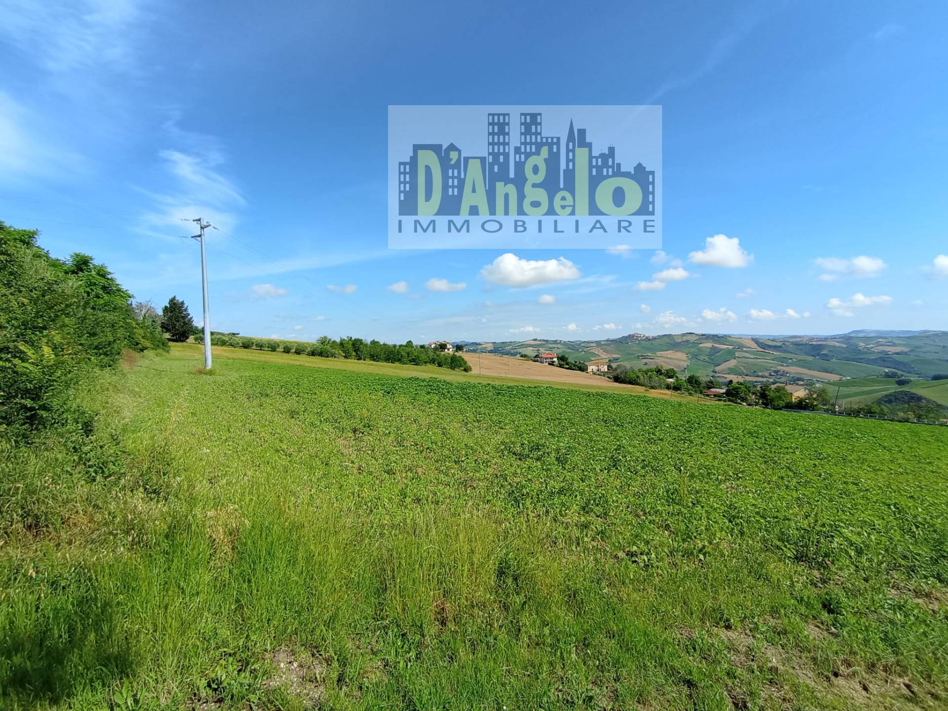 immagine annuncio 1 di 4