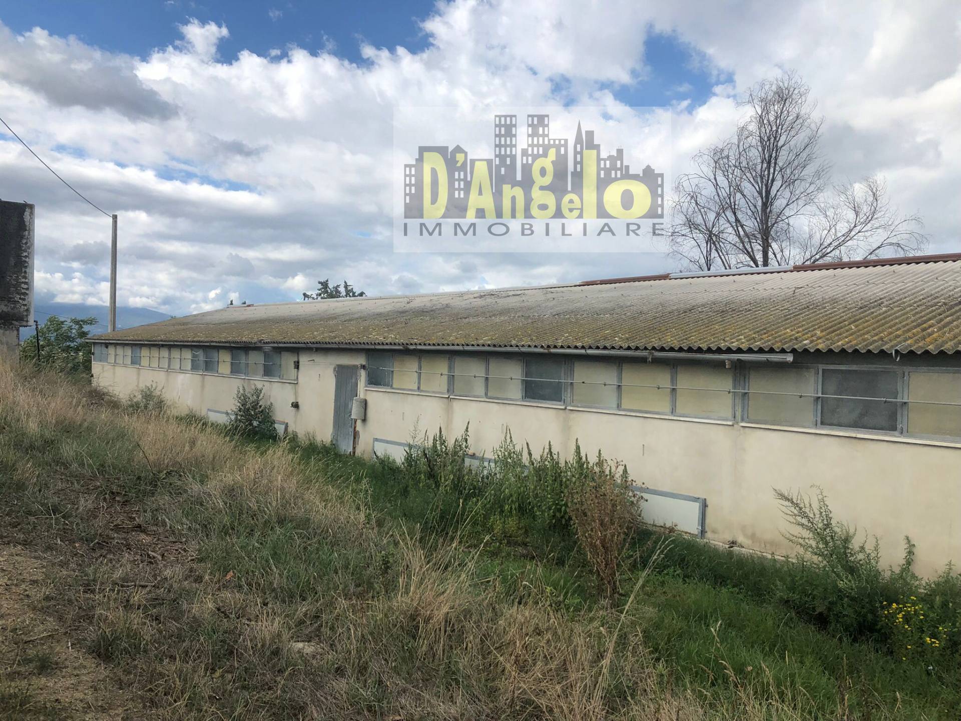 immagine annuncio 3 di 10