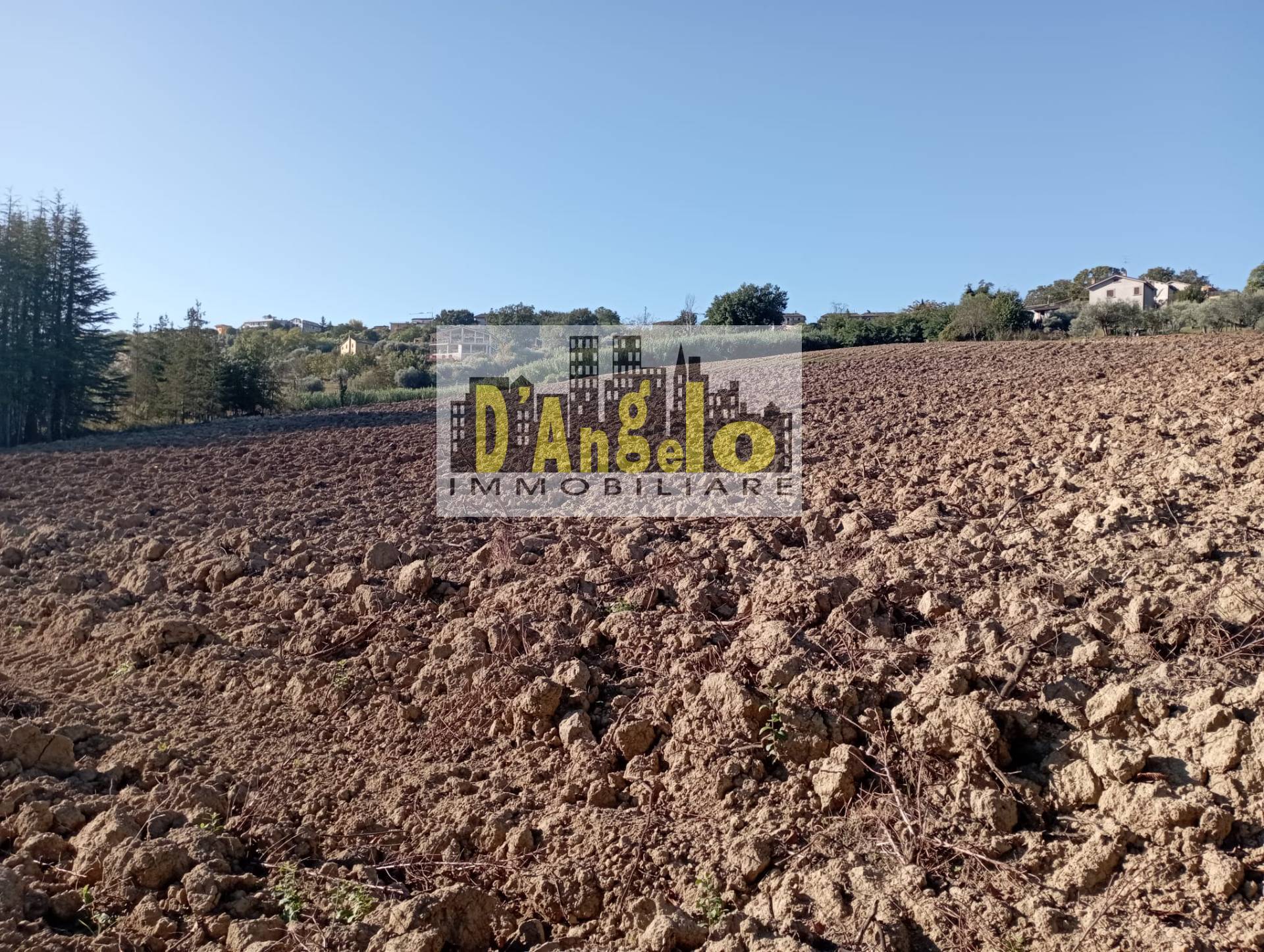 Casa singola in vendita a Castel di Lama