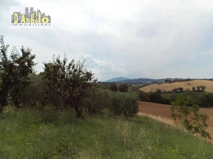 Casa indipendente in vendita a Offida