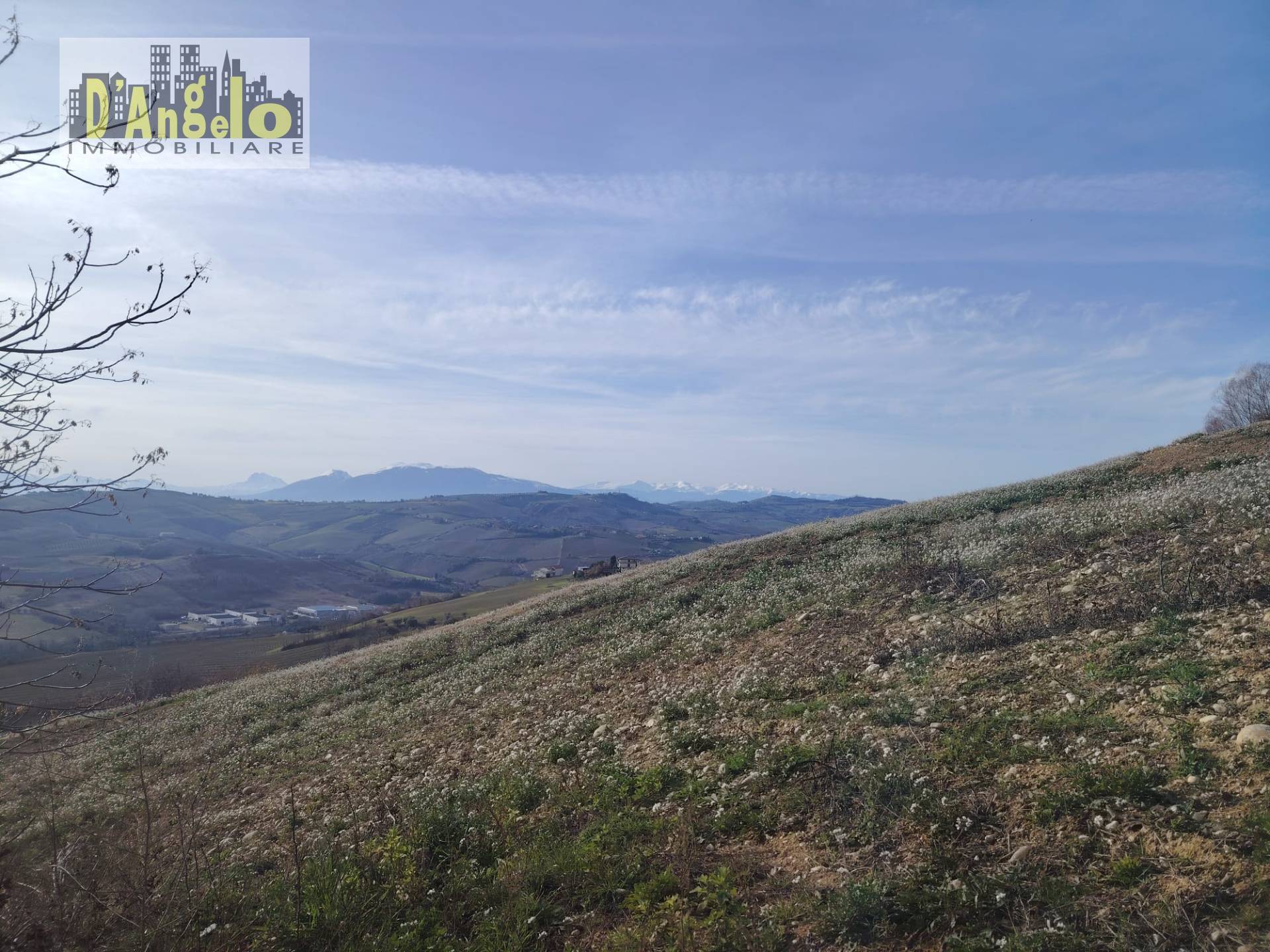 Casa indipendente in vendita a Cossignano