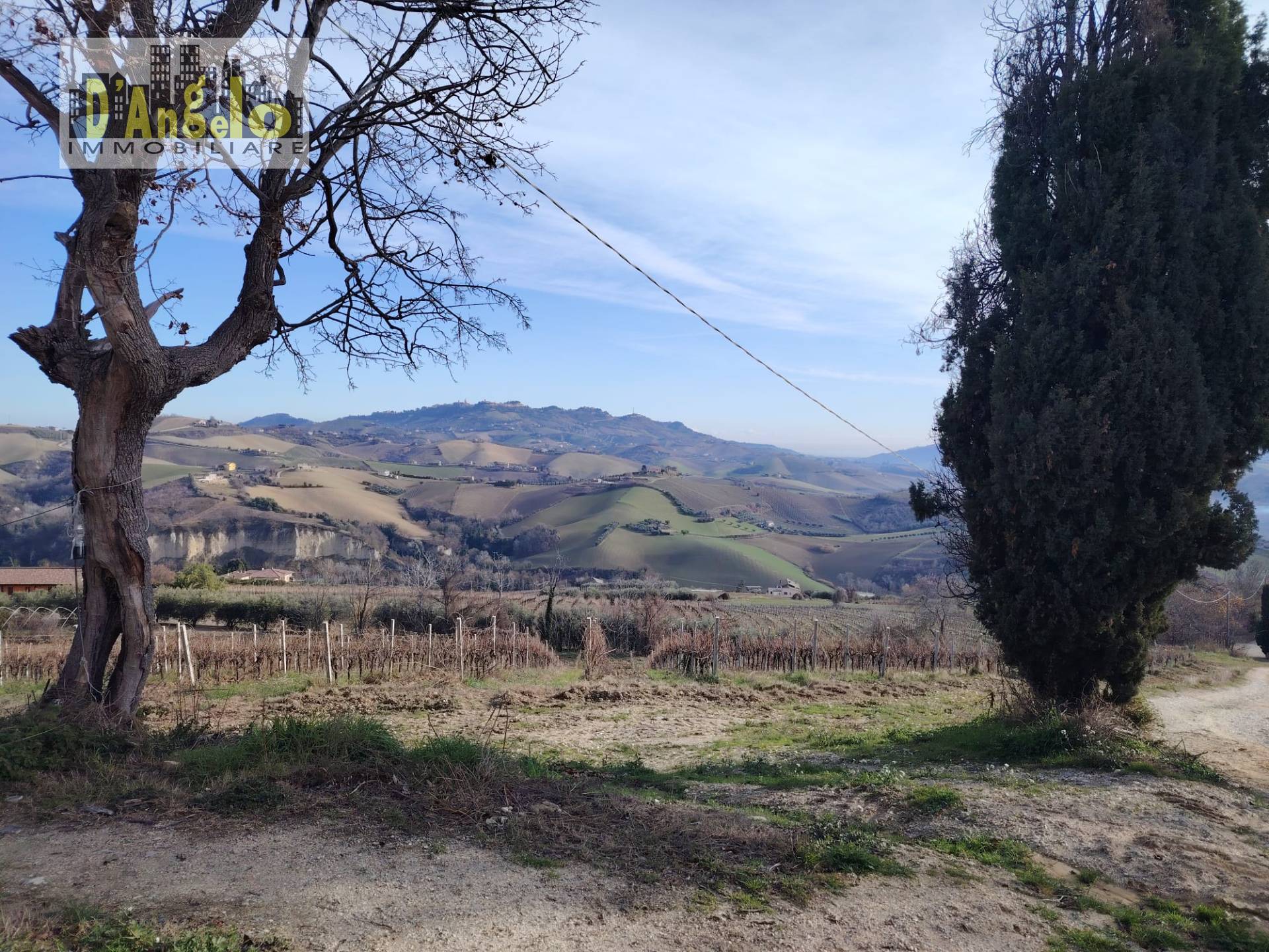 Casa indipendente in vendita a Cossignano