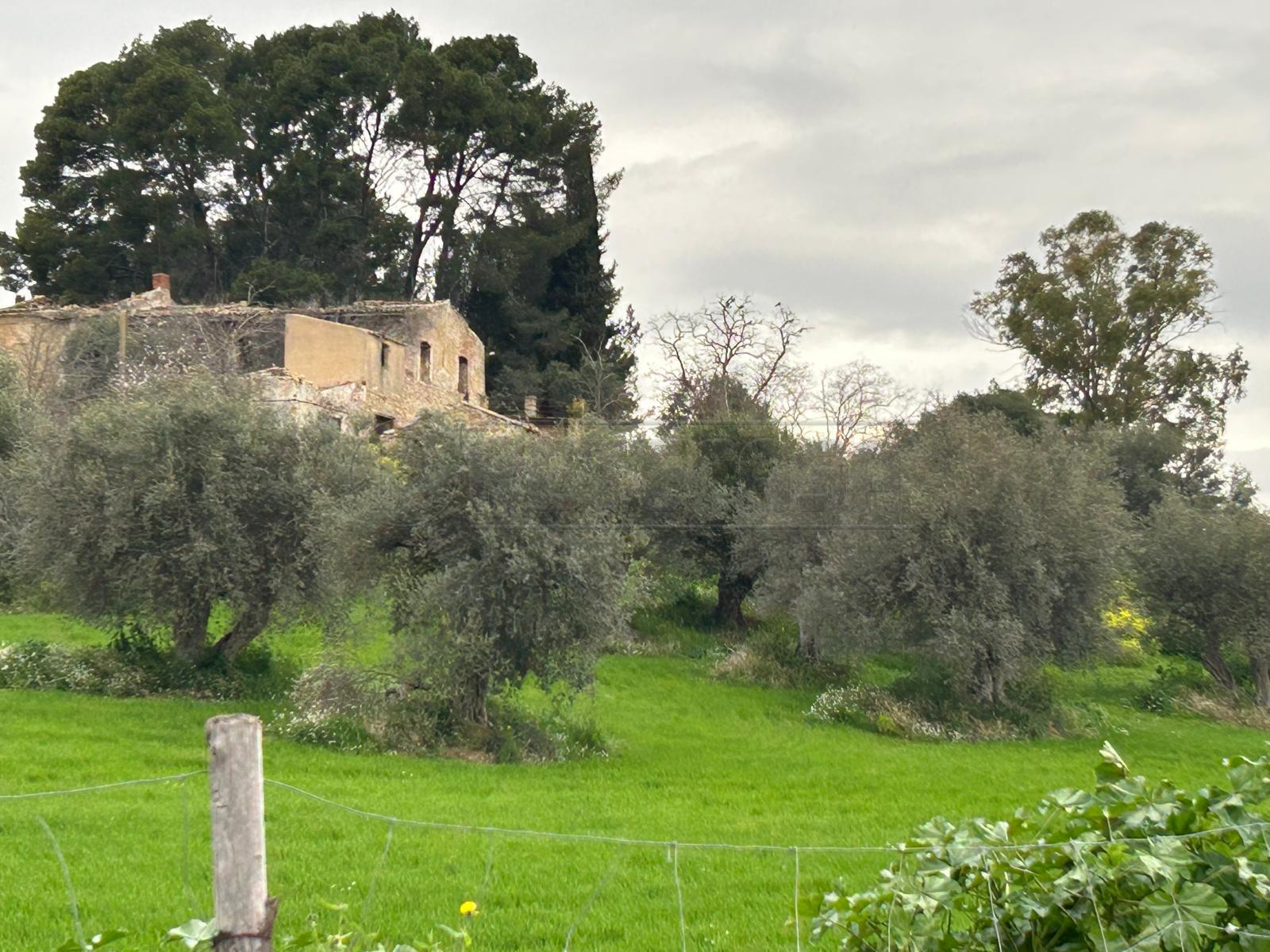 Terreno Agricolo in vendita in contrada favarella, Caltanissetta