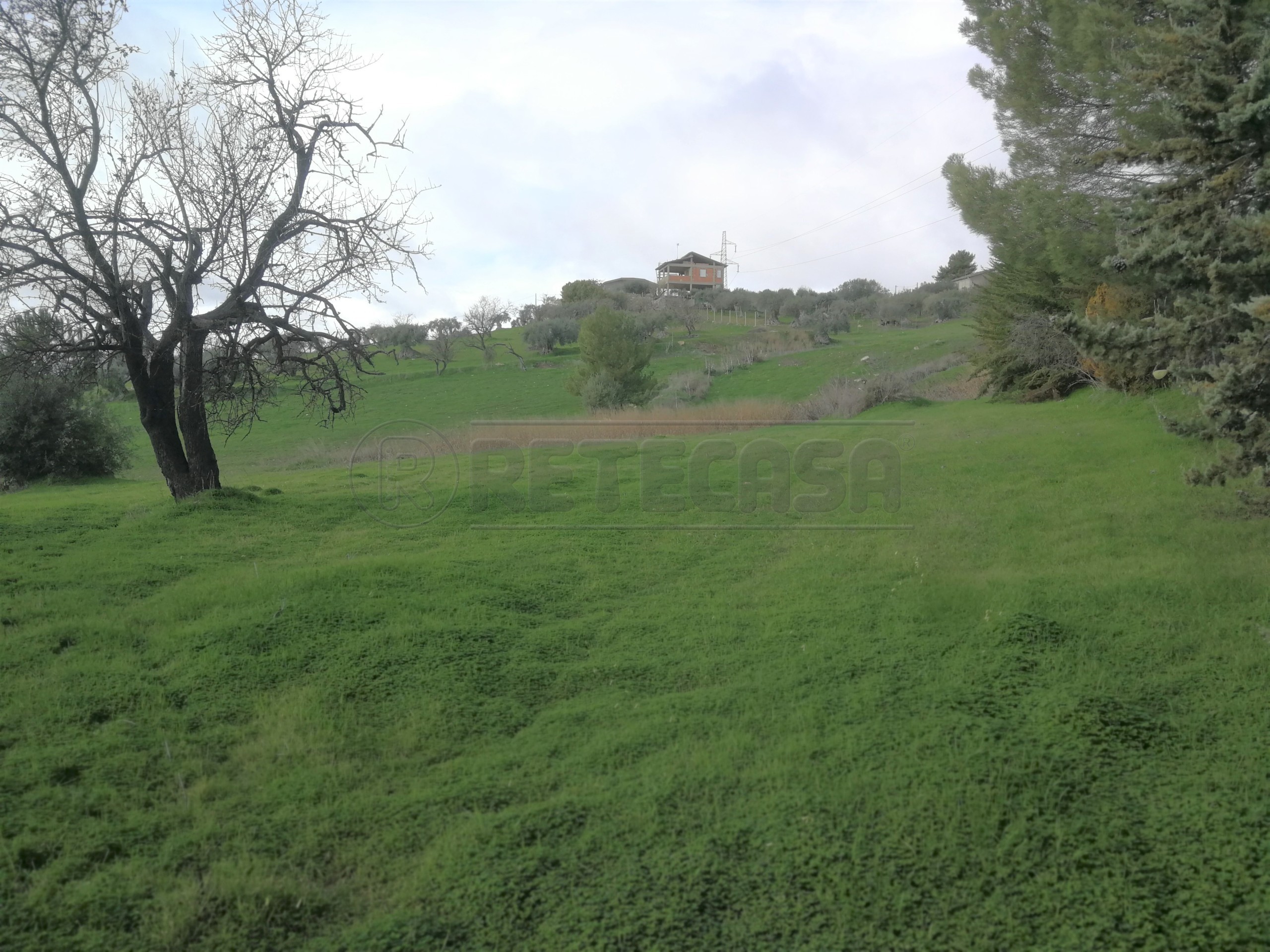 Terreno Agricolo in vendita in contrada due fontane, Caltanissetta