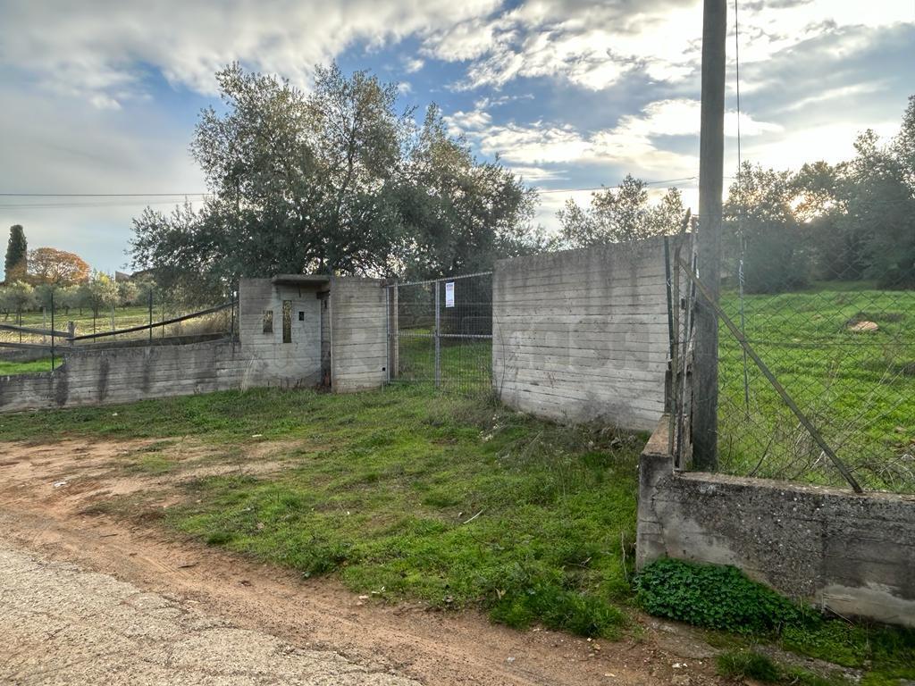 Terreno Agricolo in vendita in via dei gelsi di niscima 1, Caltanissetta