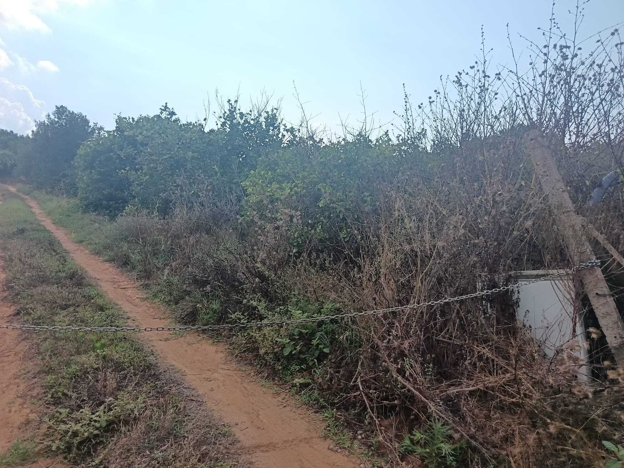 Terreno Agricolo in vendita a Partinico