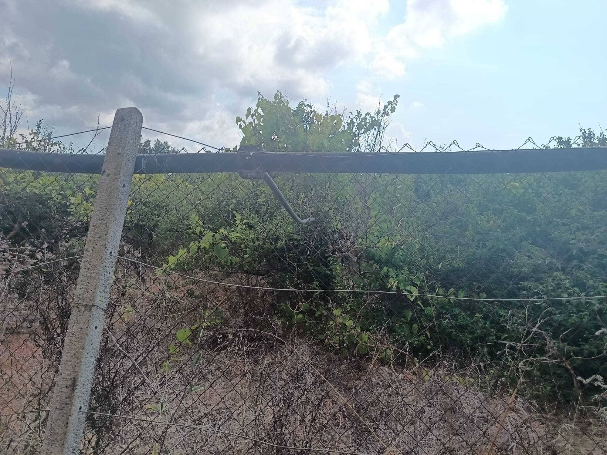 Terreno Agricolo in vendita a Partinico