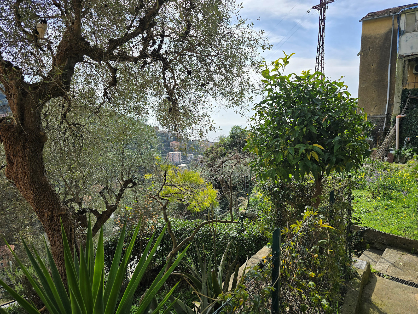 Quadrilocale da ristrutturare in via l. bernab� brea 56, Zoagli